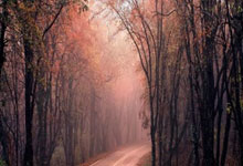 28圈官网：美国女将艾玛送两“贝果” 首夺WTA500赛冠军.