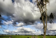 28圈官网：国足2连败！伊万陷下课潮VS3.8万请愿高洪波，足协死守帅位赌生机.