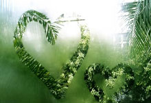 德国杯-穆勒2射1传凯恩破门 拜仁4-0乌尔姆.