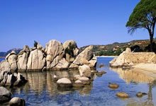 灵感来自良渚玉琮和桂花！亚残运会火炬满满的中国式浪漫人民日报微博.